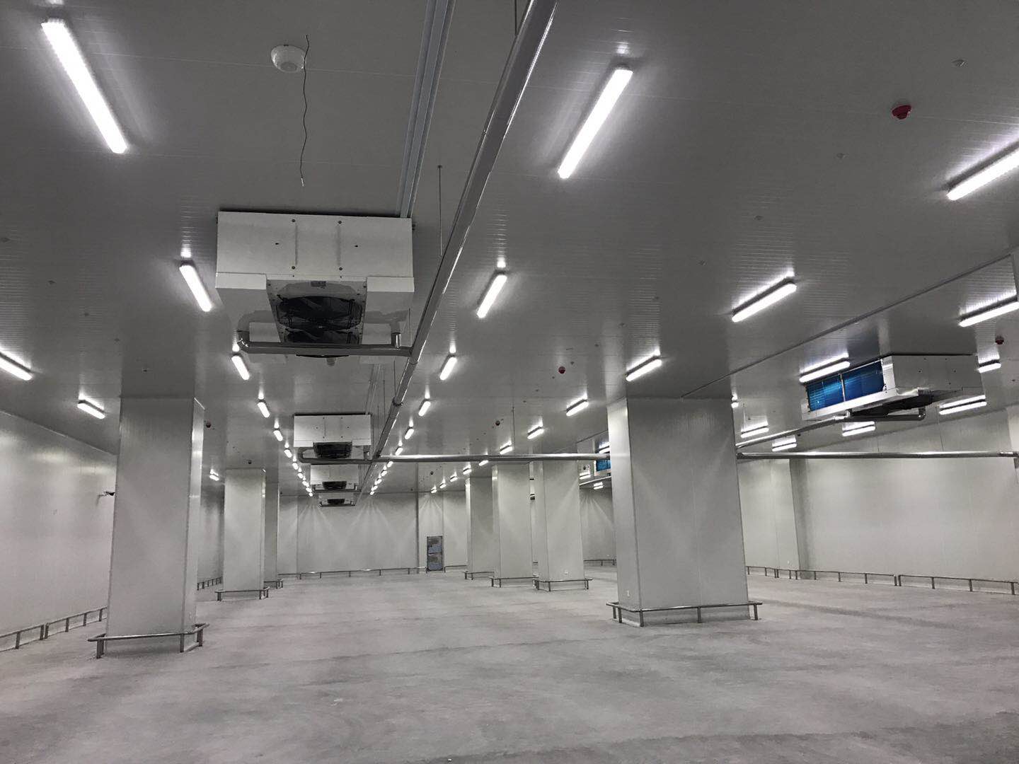 食品低溫冷藏庫 食品低溫冷藏庫