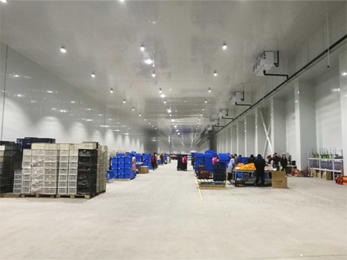 建設(shè)8000平米電商物流低溫冷藏庫費(fèi)用造價(jià)是多少? 建設(shè)8000平米電商物流低溫冷藏庫費(fèi)用造價(jià)是多少?