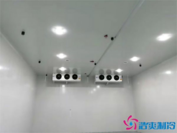 建造彩椒保鮮冷庫(kù)安裝費(fèi)用需要多少錢? 建造彩椒保鮮冷庫(kù)安裝費(fèi)用需要多少錢?