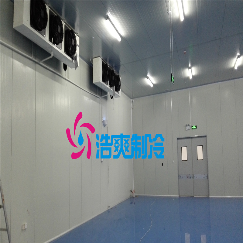 藥劑冷庫專業(yè)設(shè)計(jì)安裝 藥劑冷庫專業(yè)設(shè)計(jì)安裝