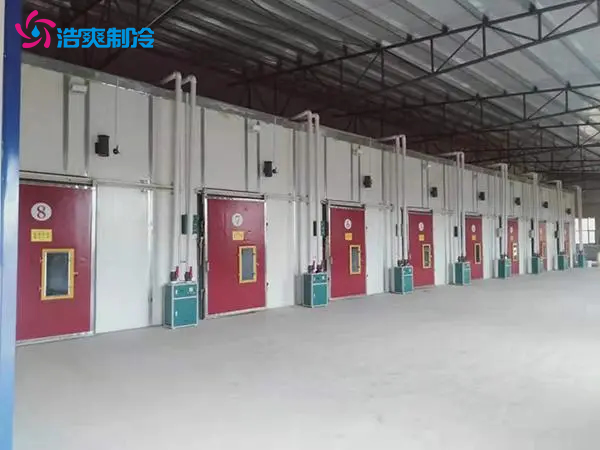 果蔬保鮮冷庫建造安裝,果蔬冷庫儲藏方法 果蔬保鮮冷庫建造安裝,果蔬冷庫儲藏方法