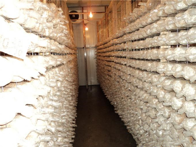 建一個(gè)100平方香菇冷庫全套要多少錢? 建一個(gè)100平方香菇冷庫全套要多少錢?