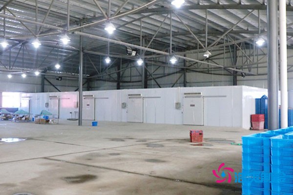 冷庫(kù)分間實(shí)拍