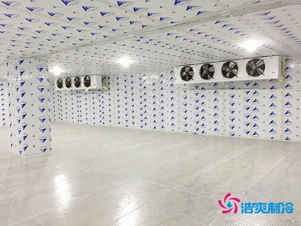 冷庫造價一平米如何計算?智能冷庫建造方案再降百元!