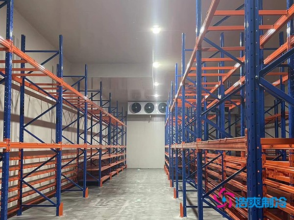 建中型冷庫要花多少錢？這些關鍵因素你必須知道-浩爽制冷