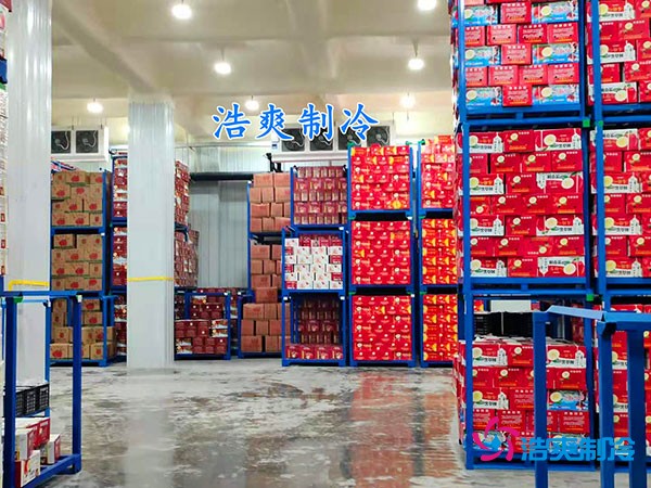 500平果蔬冷庫造價曝光!35萬起建,省錢秘訣在這里!