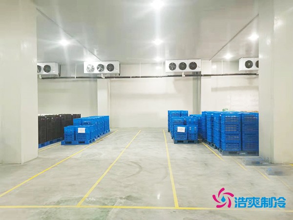 建造一個2000噸海鮮冷庫的預(yù)算分析