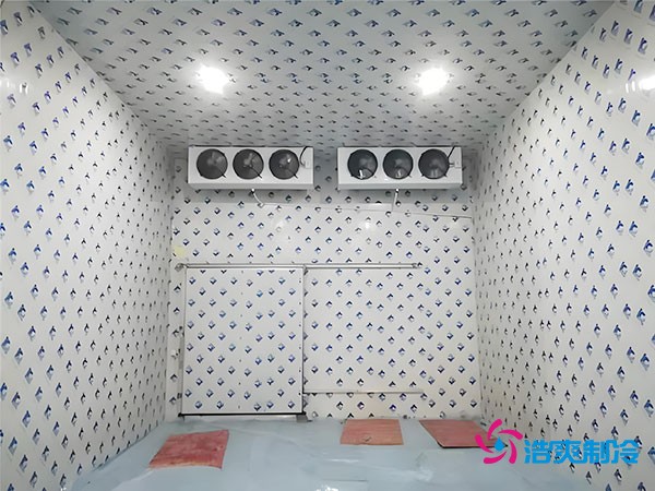 零下35℃制冰！建一個冷庫到底要花多少錢？