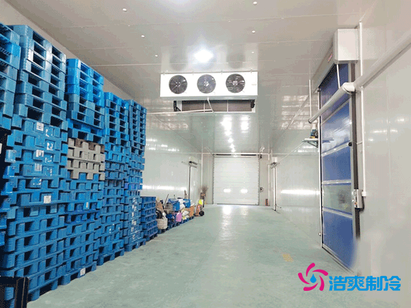 冷庫(kù)造價(jià)懸殊?揭秘每平米價(jià)格背后的秘密!