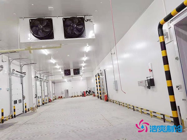 冷庫(kù)造價(jià)懸殊?揭秘每平米價(jià)格背后的秘密!