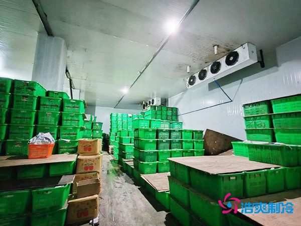 水果保鮮冷庫建造價格每平米多少錢?