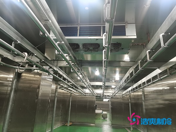 肉類冷庫(kù)建造費(fèi)用及設(shè)計(jì)解析