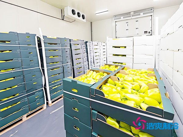 氣調(diào)保鮮冷庫造價