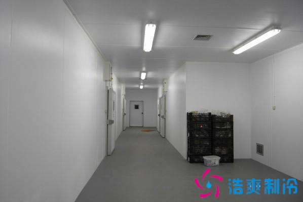 預建1000噸果蔬冷庫設計規劃，冷庫價格多少錢