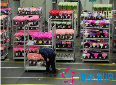 1000立方米鮮花冷庫(kù)