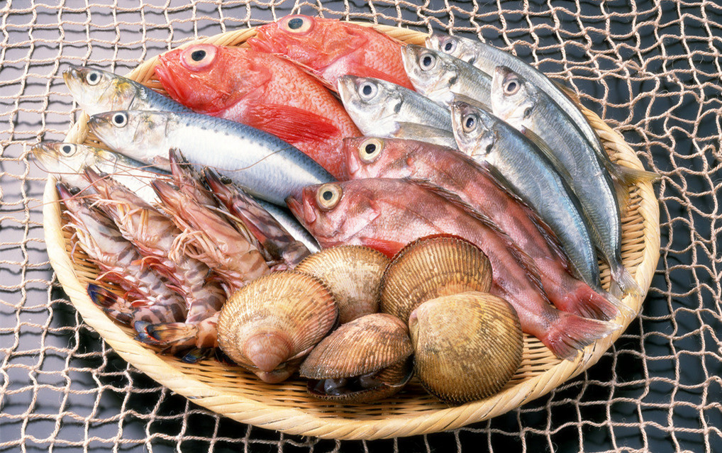 冰鮮海鮮冷庫造價，5000平方米冷凍庫總投資多少