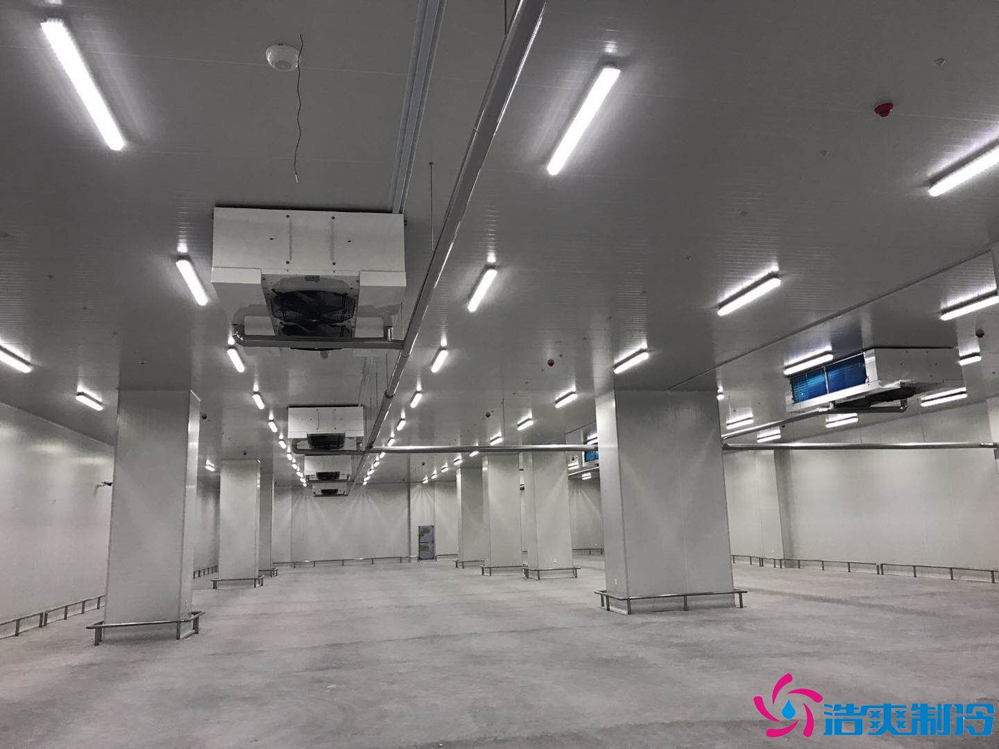 2000平米生鮮食品物流冷庫(生鮮冷鏈倉儲)冷庫報價