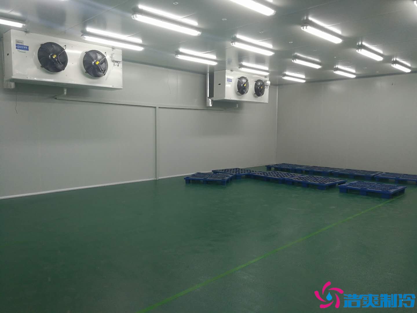 沈陽三生制藥3000平米低溫(冷凍、冷藏)醫藥物流冷庫工程案例