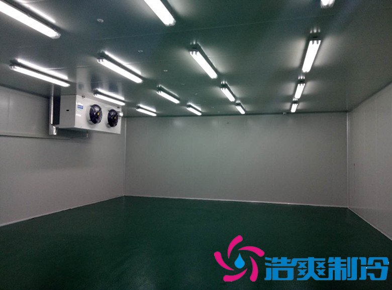 100㎡醫療冷藏庫設備方案報價及國家藥食品監局驗收標準