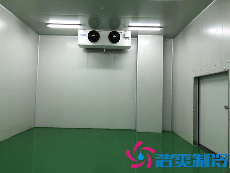 醫療冷庫的安裝標準,2-8℃生物制品冷庫安裝制冷設備造價 冷庫內景圖片