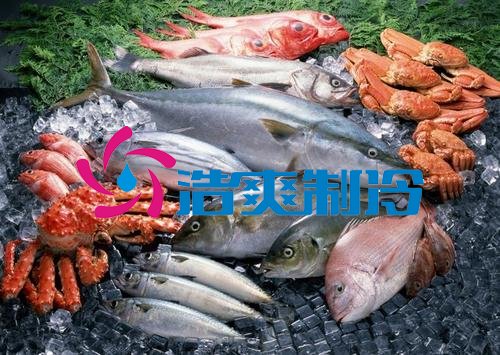 浩爽制冷,海鮮冷凍庫(kù)、食品冷凍庫(kù)